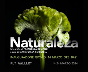 NATURALEZA_HOMEPAGE_KeyGallery_02